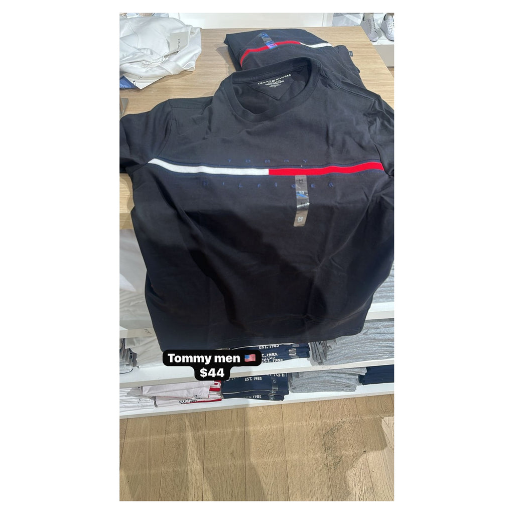 Camisetas Tommy Hilfiger para hombre - colección logo