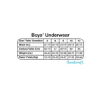 Pack de 4 bóxeres deportivos con personajes para niño (copia)