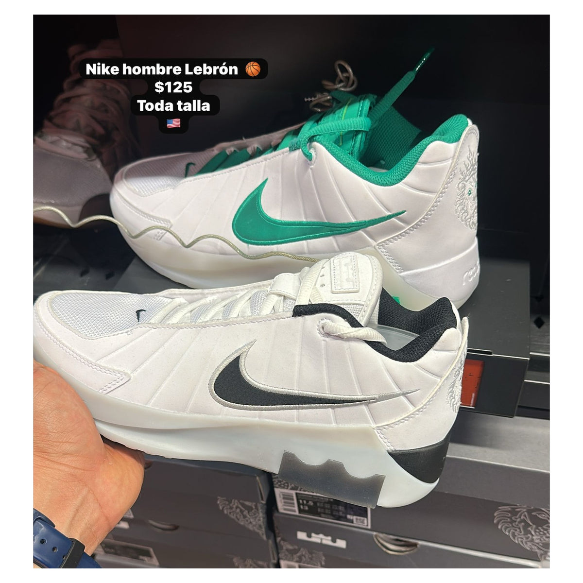 Zapatos LeBron para hombre - modelo 069