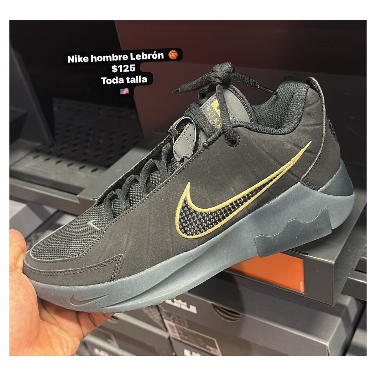 Zapatos LeBron para hombre - modelo 070